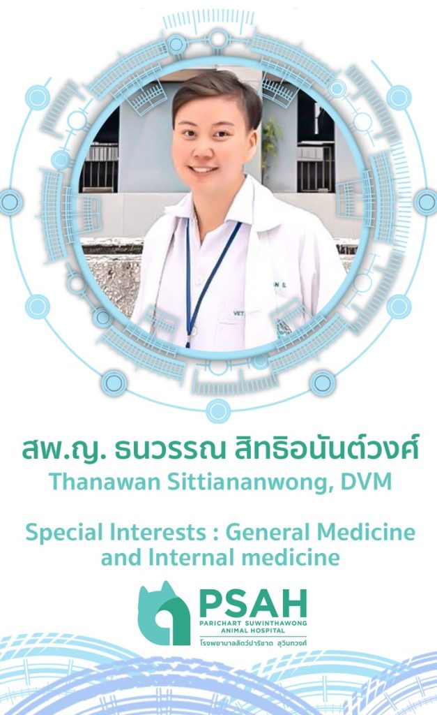 สัตวแพทย์