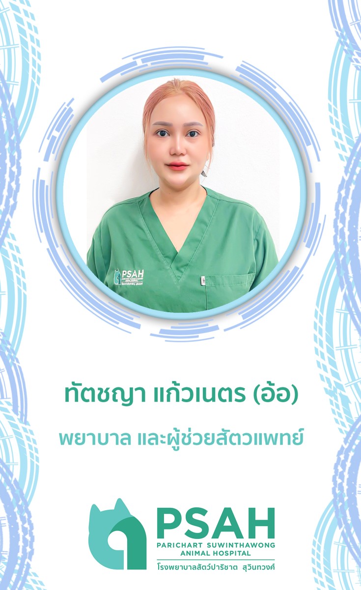 พยาบาล และผู้ช่วยสัตวแพทย์