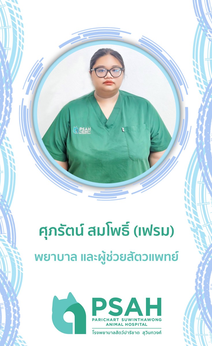 พยาบาล และผู้ช่วยสัตวแพทย์