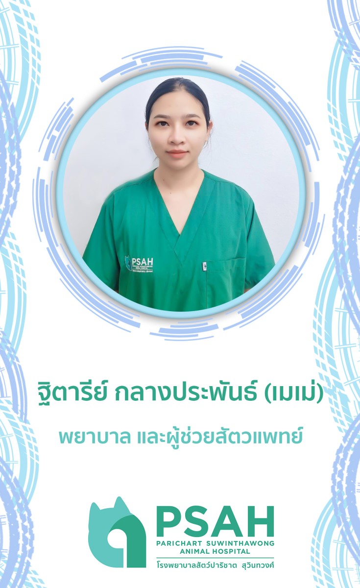 พยาบาลสัตว์
